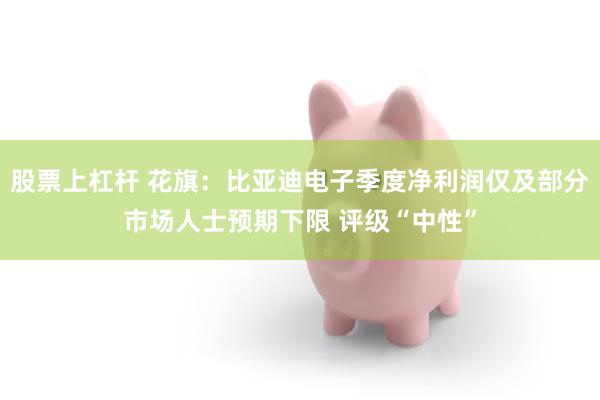 股票上杠杆 花旗：比亚迪电子季度净利润仅及部分市场人士预期下限 评级“中性”
