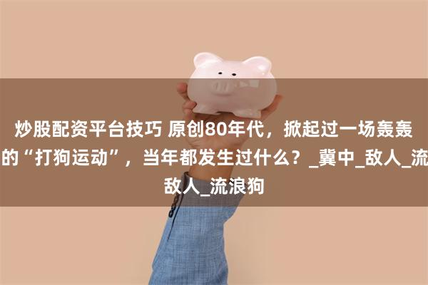 炒股配资平台技巧 原创80年代，掀起过一场轰轰烈烈的“打狗运动”，当年都发生过什么？_冀中_敌人_流浪狗