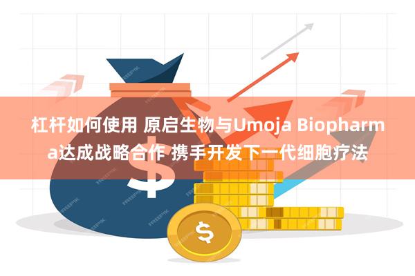 杠杆如何使用 原启生物与Umoja Biopharma达成战略合作 携手开发下一代细胞疗法