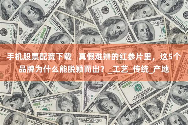 手机股票配资下载   真假难辨的红参片里，这5个品牌为什么能脱颖而出？_工艺_传统_产地