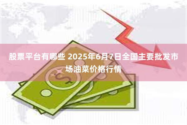 股票平台有哪些 2025年6月7日全国主要批发市场油菜价格行情