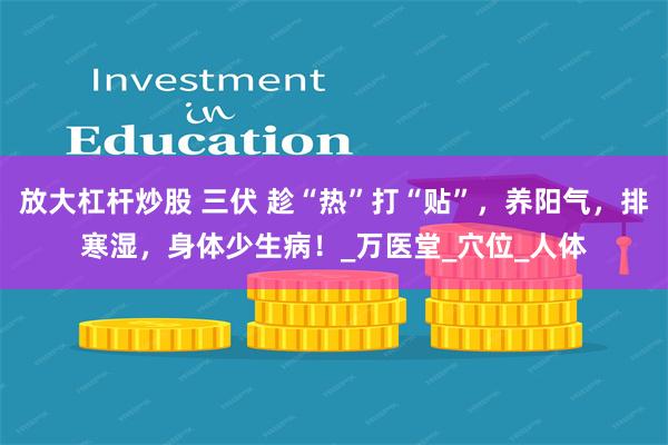 放大杠杆炒股 三伏 趁“热”打“贴”，养阳气，排寒湿，身体少生病！_万医堂_穴位_人体