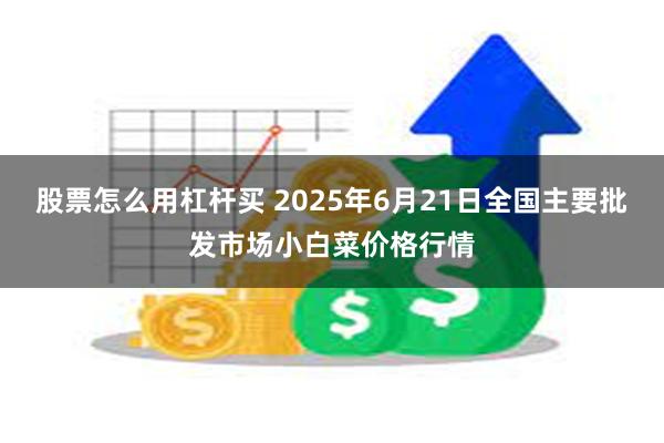股票怎么用杠杆买 2025年6月21日全国主要批发市场小白菜价格行情