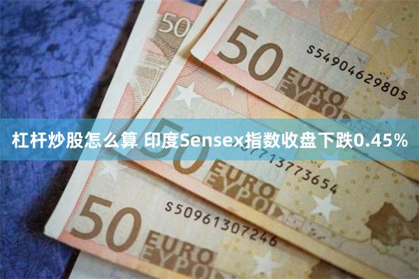 杠杆炒股怎么算 印度Sensex指数收盘下跌0.45%