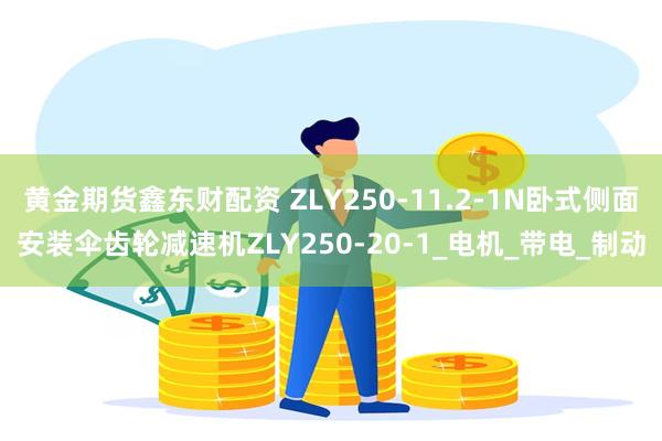 黄金期货鑫东财配资 ZLY250-11.2-1N卧式侧面安装伞齿轮减速机ZLY250-20-1_电机_带电_制动