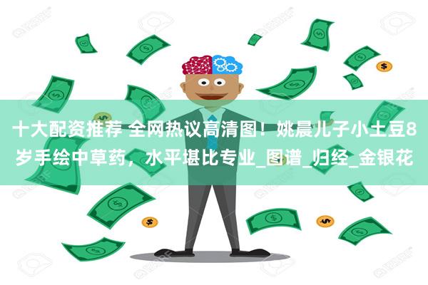十大配资推荐 全网热议高清图！姚晨儿子小土豆8岁手绘中草药，水平堪比专业_图谱_归经_金银花