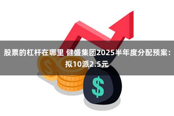 股票的杠杆在哪里 健盛集团2025半年度分配预案：拟10派2.5元