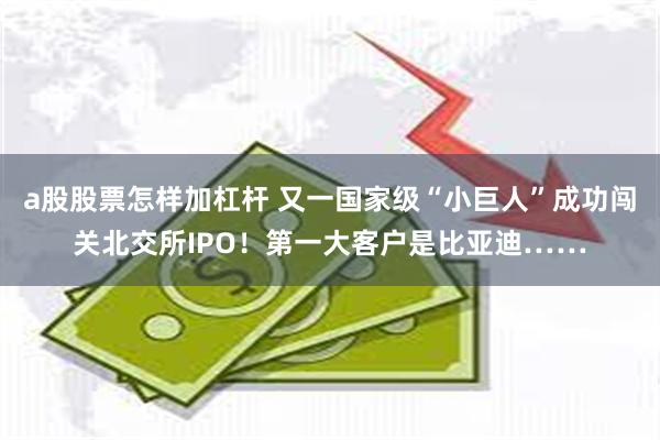 a股股票怎样加杠杆 又一国家级“小巨人”成功闯关北交所IPO！第一大客户是比亚迪……