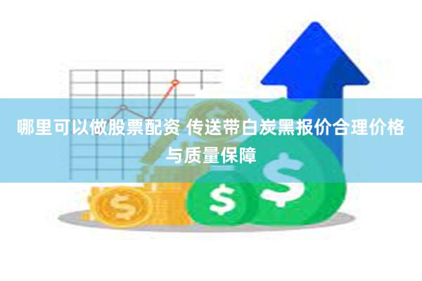 哪里可以做股票配资 传送带白炭黑报价合理价格与质量保障
