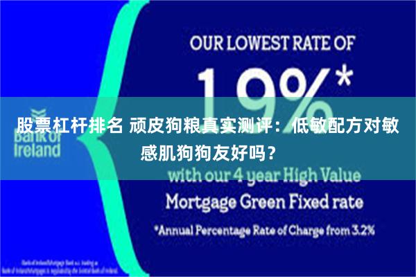 股票杠杆排名 顽皮狗粮真实测评:低敏配方对敏感肌狗狗友好吗?